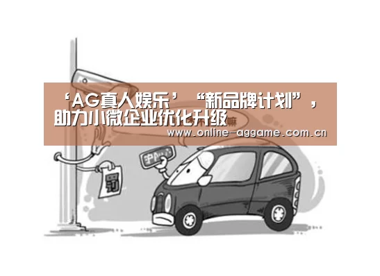 ‘AG真人娱乐’“新品牌计划”,助力小微企业优化升级(图3) ag真人入口