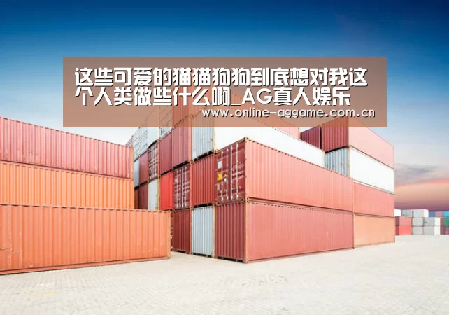 ag真人官网