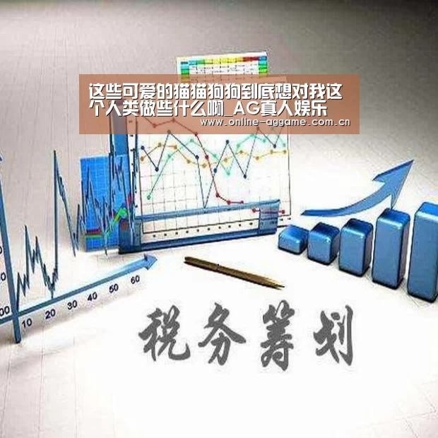AG真人娱乐