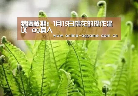 ag真人